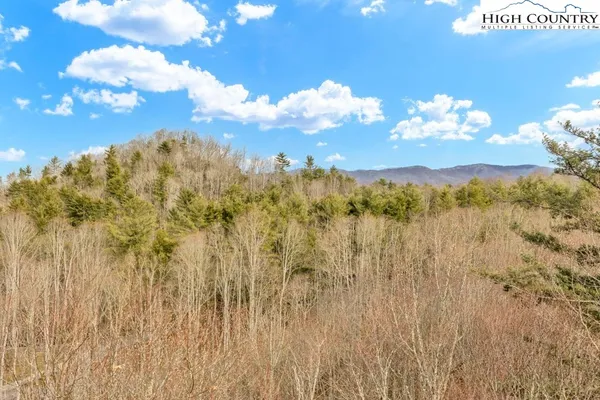 a view of pathway and trees