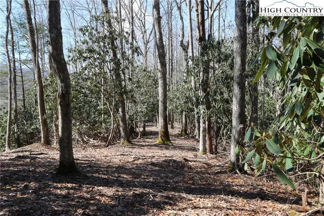 $49,900 | 47-48 Abaco Drive, Vilas, NC 28692