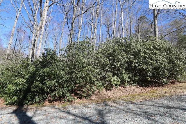 $49,900 | 47-48 Abaco Drive, Vilas, NC 28692