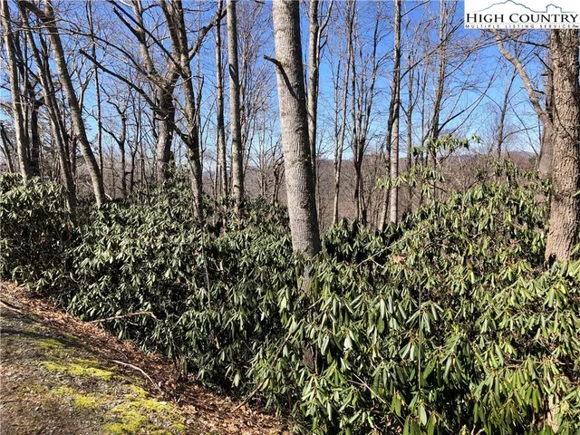 $49,900 | 47-48 Abaco Drive, Vilas, NC 28692