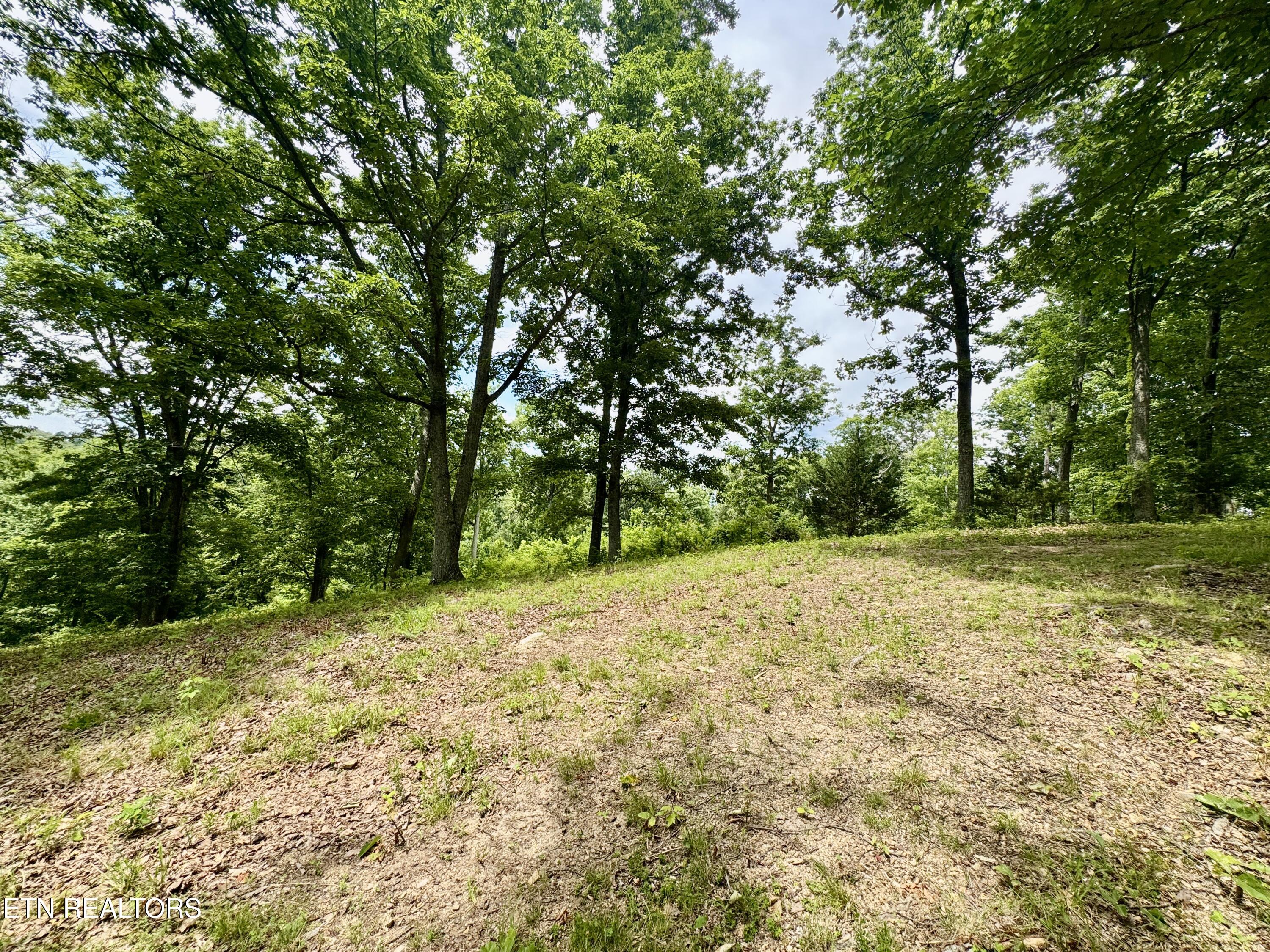 378 Johnson Hollow Road New Tazewell, TN 37825 - Photo 17 of 35 1-17
