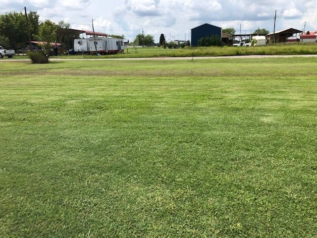 0 Ali Grace Lane Adamsville, TN 38310 - Photo 10 of 11 a big yard with lots of green space