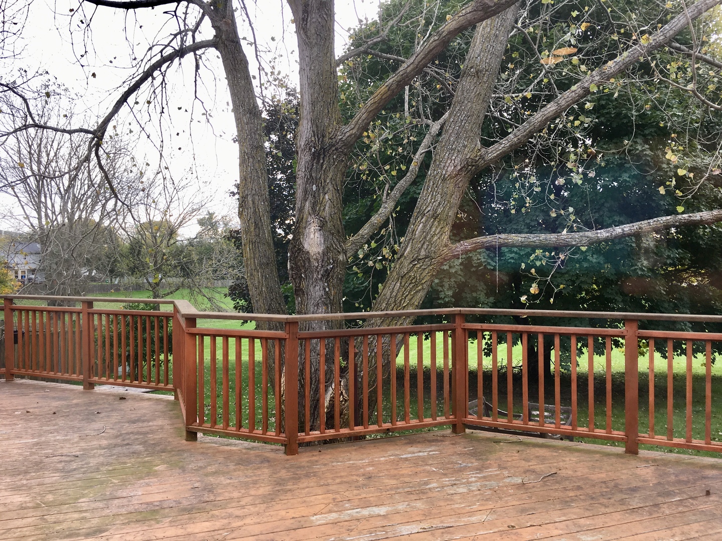 631 Ridgewood Drive Cary, IL 60013 - Photo 2 of 10