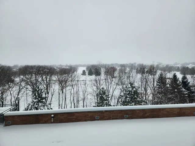 $275,000 | 6420 Double Eagle Drive, Unit 403, Woodridge, IL 60517