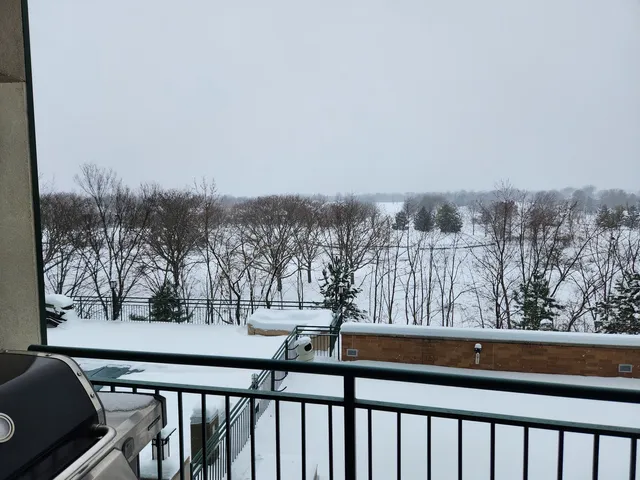 $275,000 | 6420 Double Eagle Drive, Unit 403, Woodridge, IL 60517