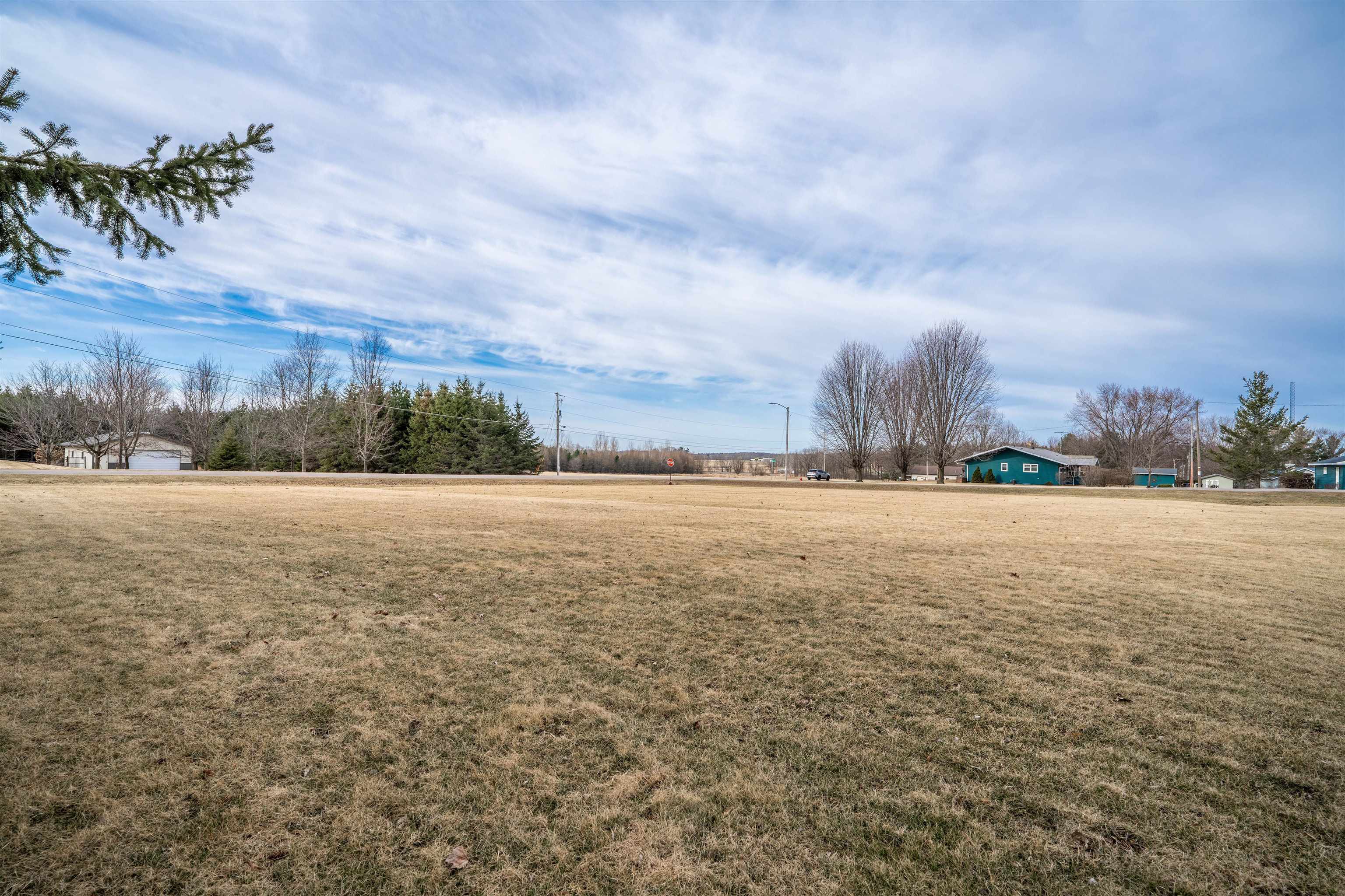 Lot On Lot On 2nd Street, Unit HARTJES AVENUE Rudolph, WI 54475 - Photo 6 of 11
