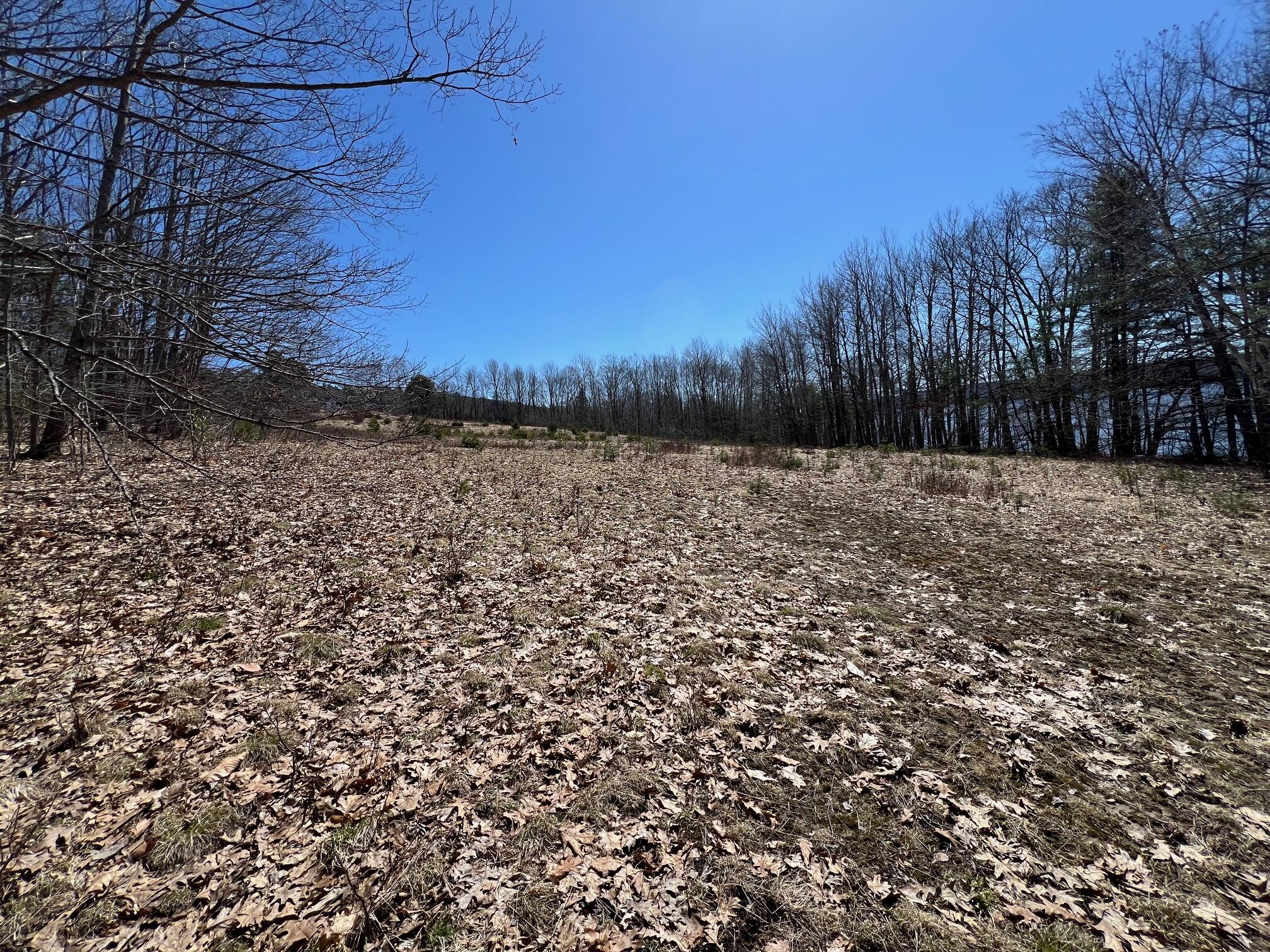 614 River Road Bucksport, ME 04416 - Photo 38 of 41 38