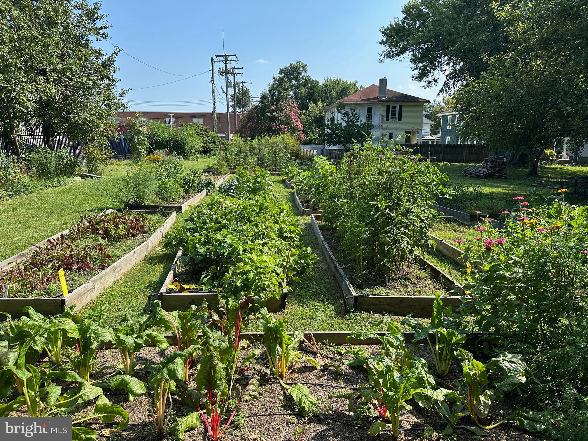 409 Woodford Road Baltimore, MD 21212 - Photo 45 of 49 Radnor-Winston community garden