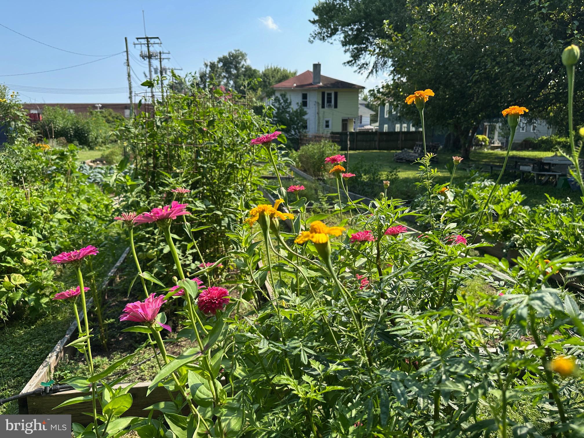 409 Woodford Road Baltimore, MD 21212 - Photo 47 of 49 Radnor-Winston community garden