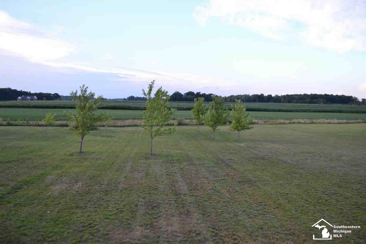 1770 Rauch Road Temperance, MI 48182 - Photo 20 of 20