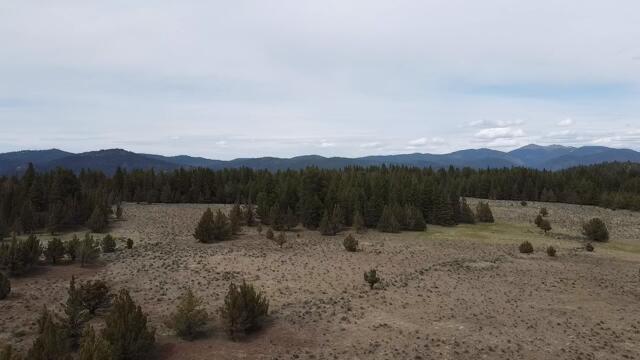 Keeney Fork Rd Prairie Prairie City, OR 97869 - Photo 8 of 61 2021-05-12-15-17-54-500