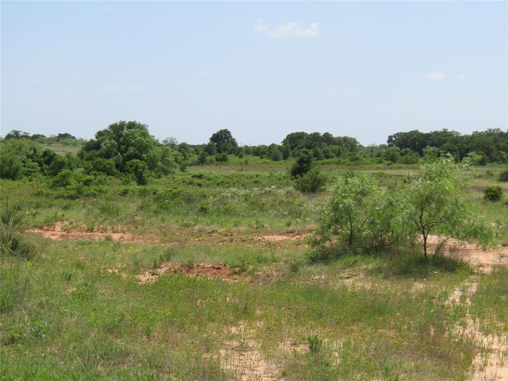 268 County Road 268 Rising Star, TX 76471 - Photo 13 of 21 a view of a lush green field