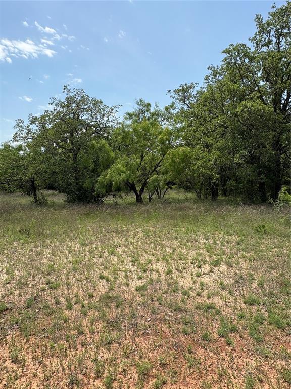 268 County Road 268 Rising Star, TX 76471 - Photo 15 of 21 a view of a large yard with an outdoor space