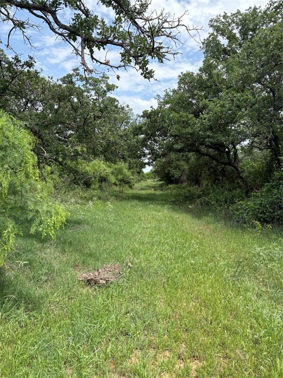 268 County Road 268 Rising Star, TX 76471 - Photo 16 of 21 a view of outdoor space and yard