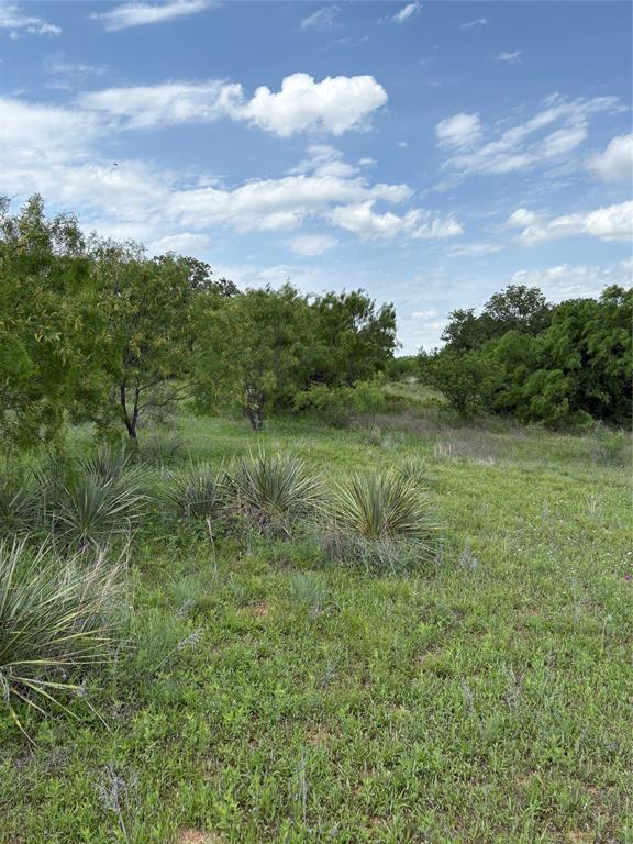 268 County Road 268 Rising Star, TX 76471 - Photo 18 of 21 a view of a lush green space