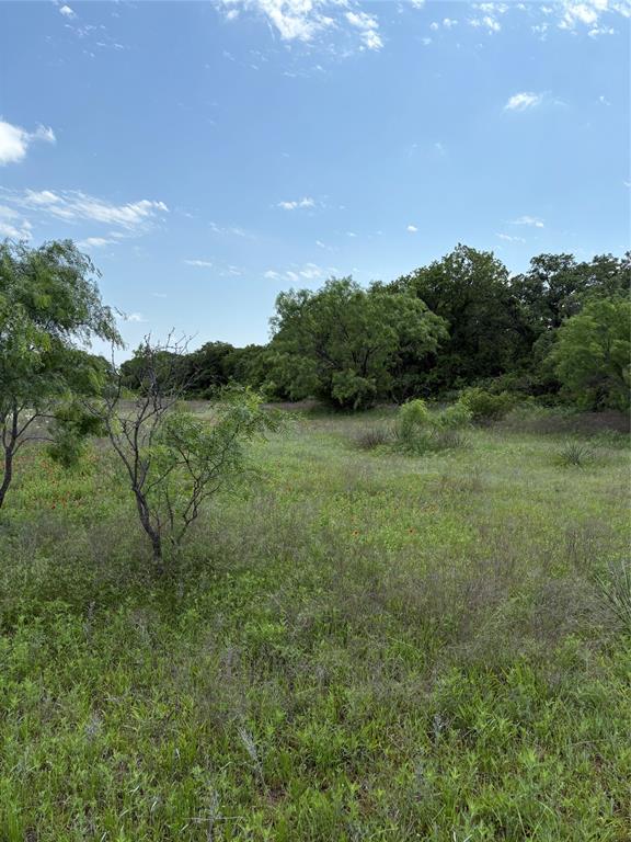 268 County Road 268 Rising Star, TX 76471 - Photo 19 of 21 a view of a field of grass and trees