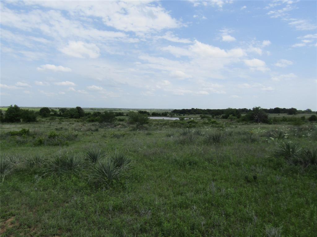 268 County Road 268 Rising Star, TX 76471 - Photo 9 of 21 a view of a green field with lots of green space