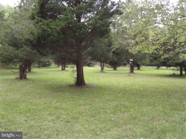 2120 Sterners Road Green Lane, PA 18054 - Photo 19 of 25 Back Yard