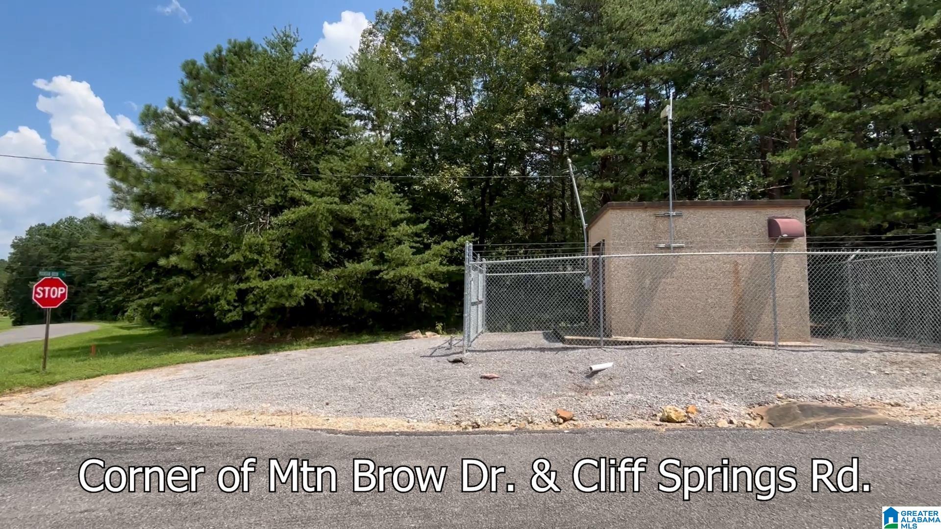 0 Cliff Springs Road, Unit 7 46 ACRES Gallant, AL 35972 - Photo 7 of 11