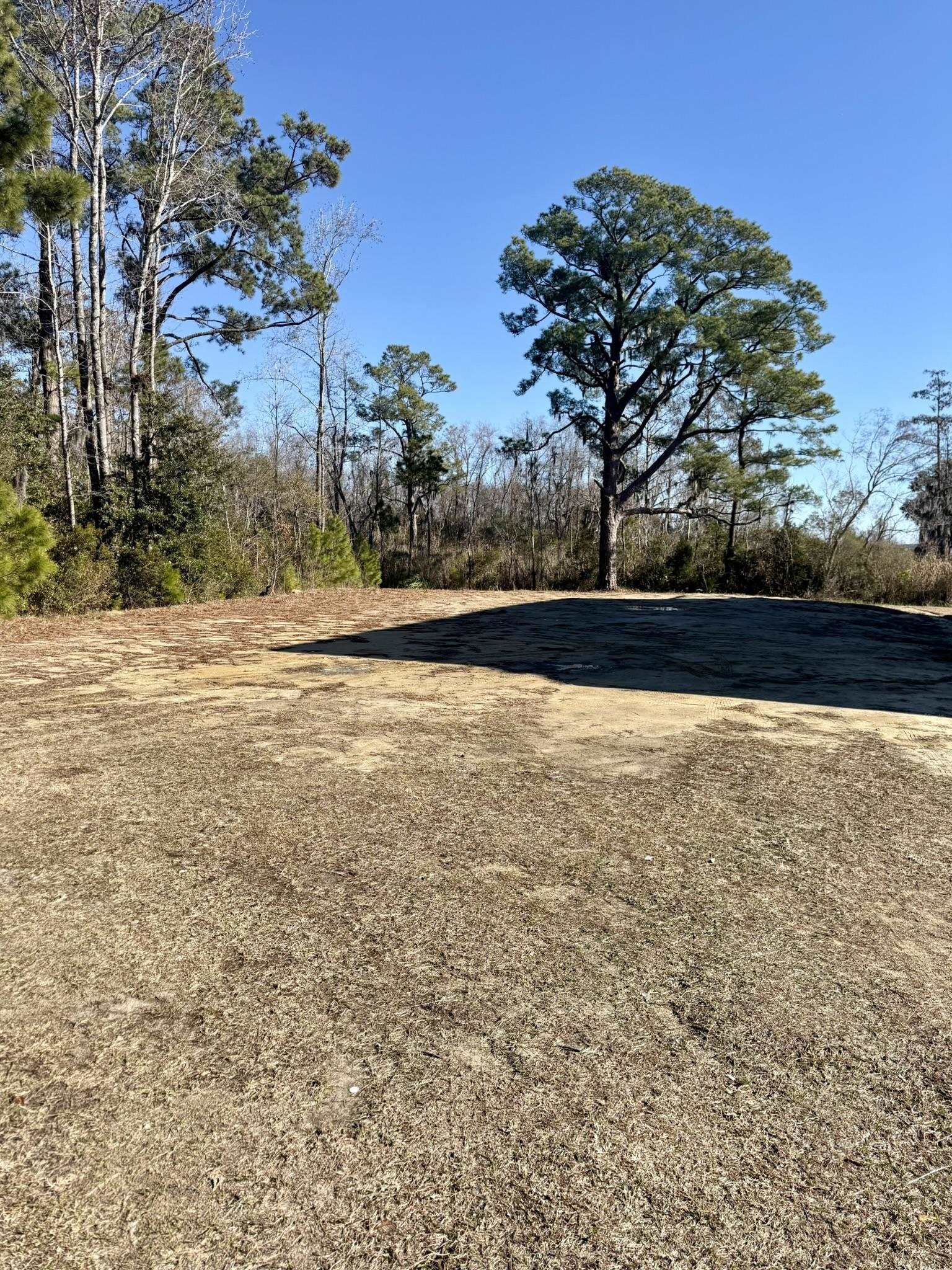 Oak Bay Drive Columbia, SC 29209 - Photo 4 of 8 View of street