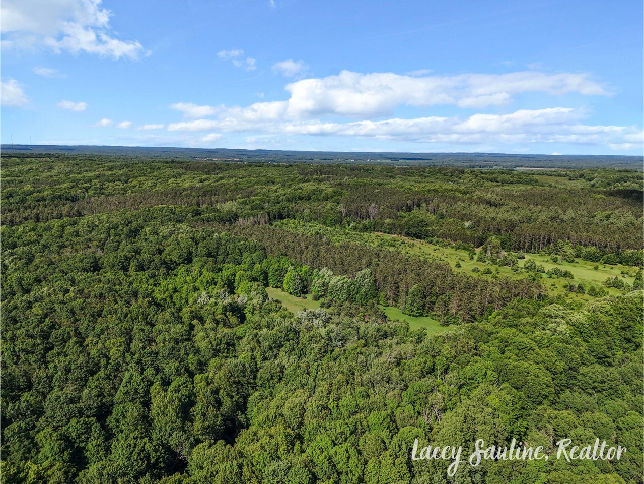 0 West Finkle Road Cadillac, MI 49601 - Photo 11 of 21