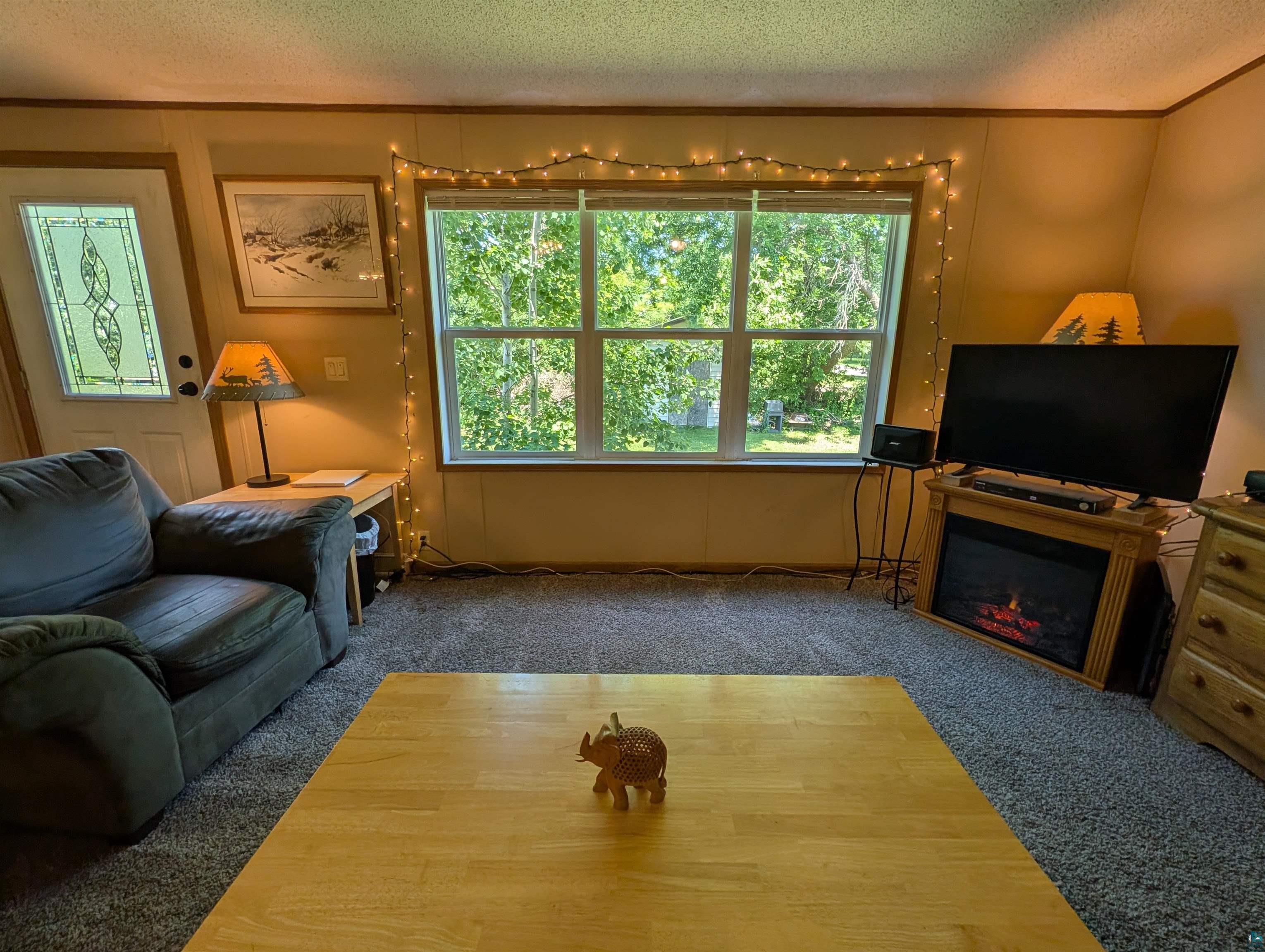 3945 Maple Street Kettle River, MN 55757 - Photo 12 of 41 Living area featuring a large window, light-toned wall paneling, and wall-to-wall carpeting
