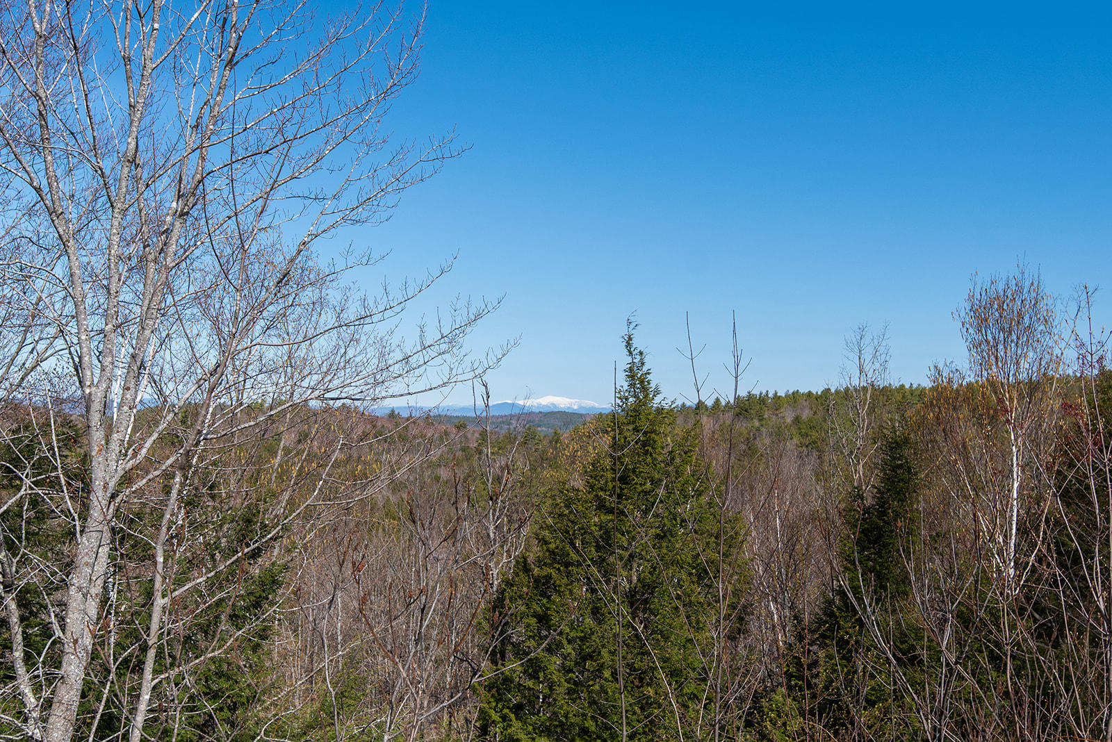 555 Dyke Mountain Road Sebago, ME 04029 - Photo 7 of 54 MBCO-75