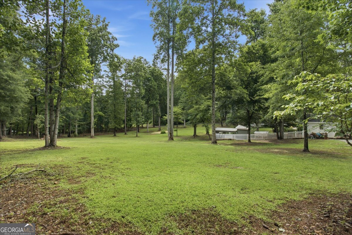 267 Joe Cox Road Sharpsburg, GA 30277 - Photo 75 of 83