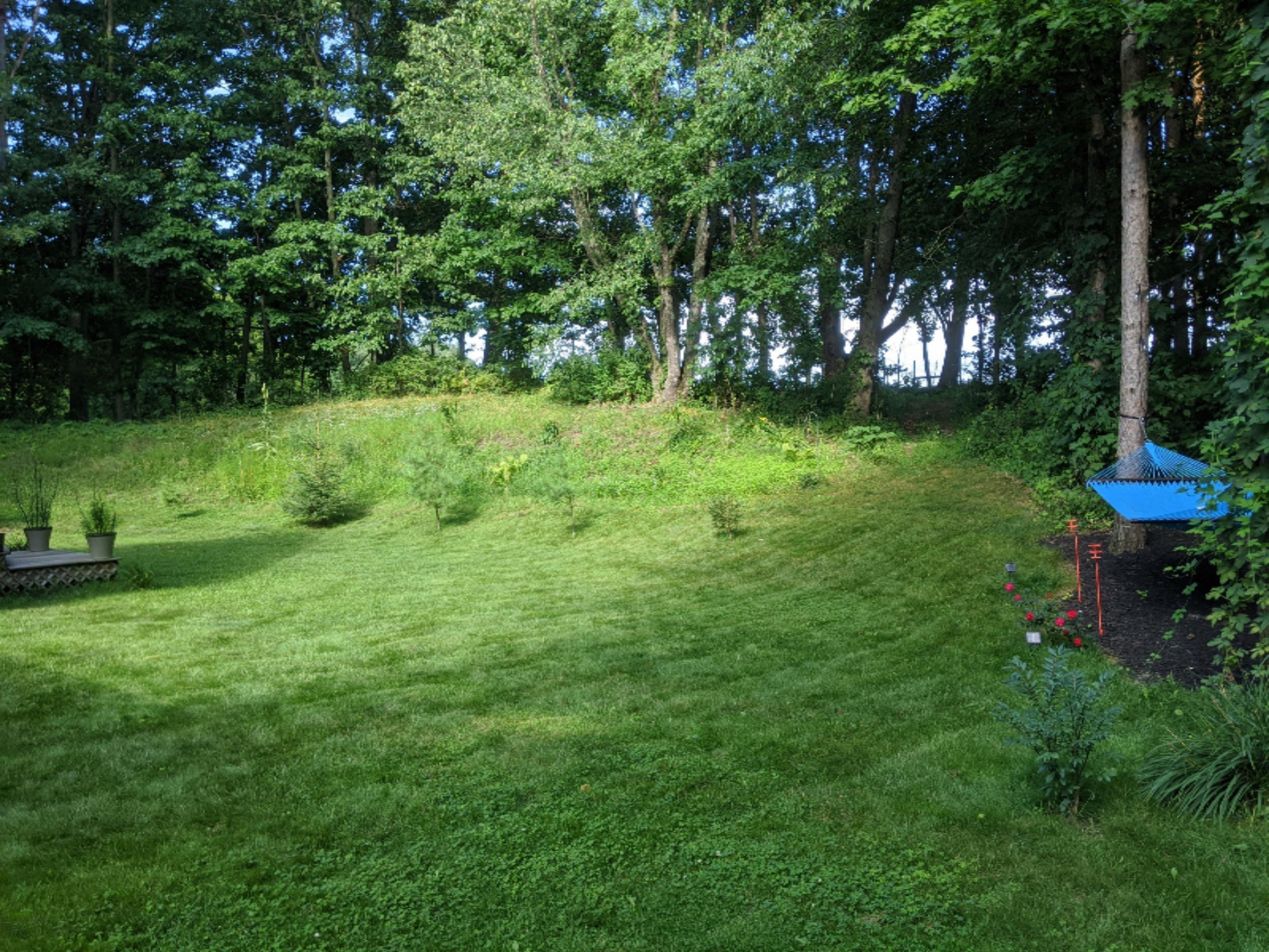 10043 Graham Road Plainwell, MI 49080 - Photo 38 of 48 MVIMG_20200728_180205