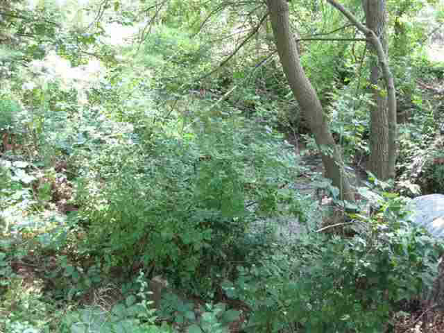 400 East Spring Street Lagrange, IN 46761 - Photo 4 of 14 Gallery Image 4