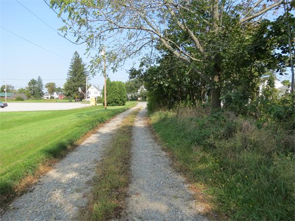 301 Boston Road Sutton, MA 01590 - Photo 23 of 30 a view of a yard with plants and trees all around