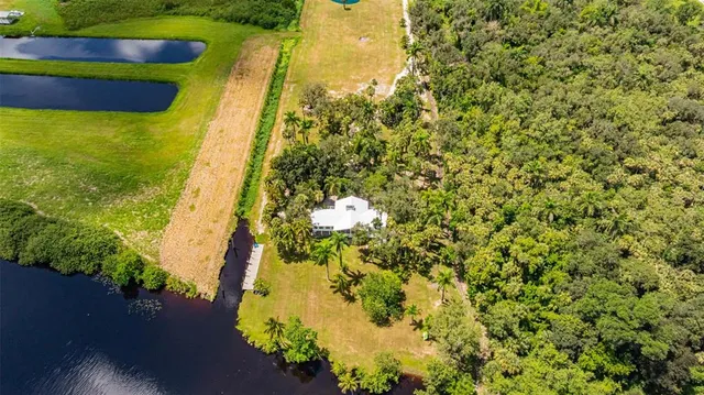 a view of a garden with an outdoor space