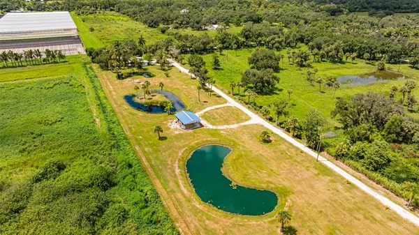 a picture of a yard