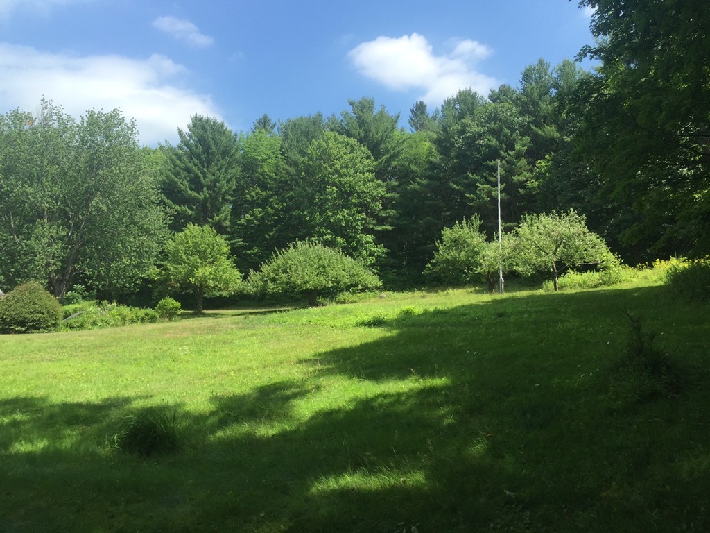 118 Falls Road Royalston, MA 01368 - Photo 3 of 13 a view of a grassy field with trees