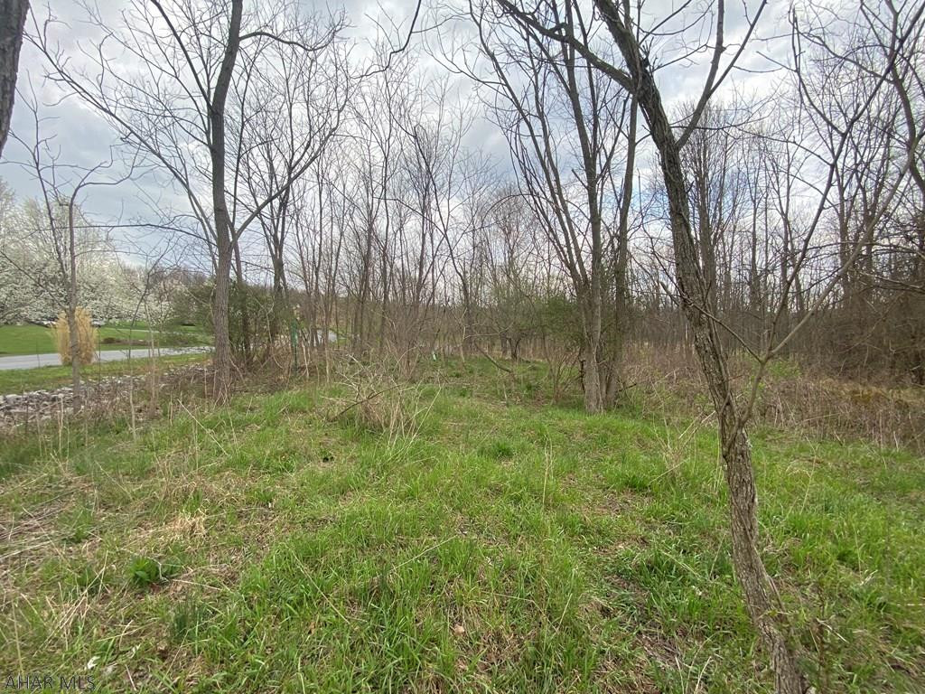 Lot 10 Mill Ridge Road Everett, PA 15537 - Photo 5 of 7 Gallery Image 5