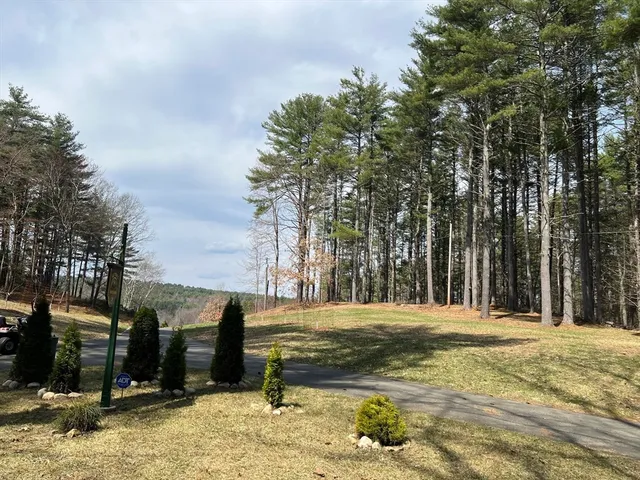a view of a playground area with trees