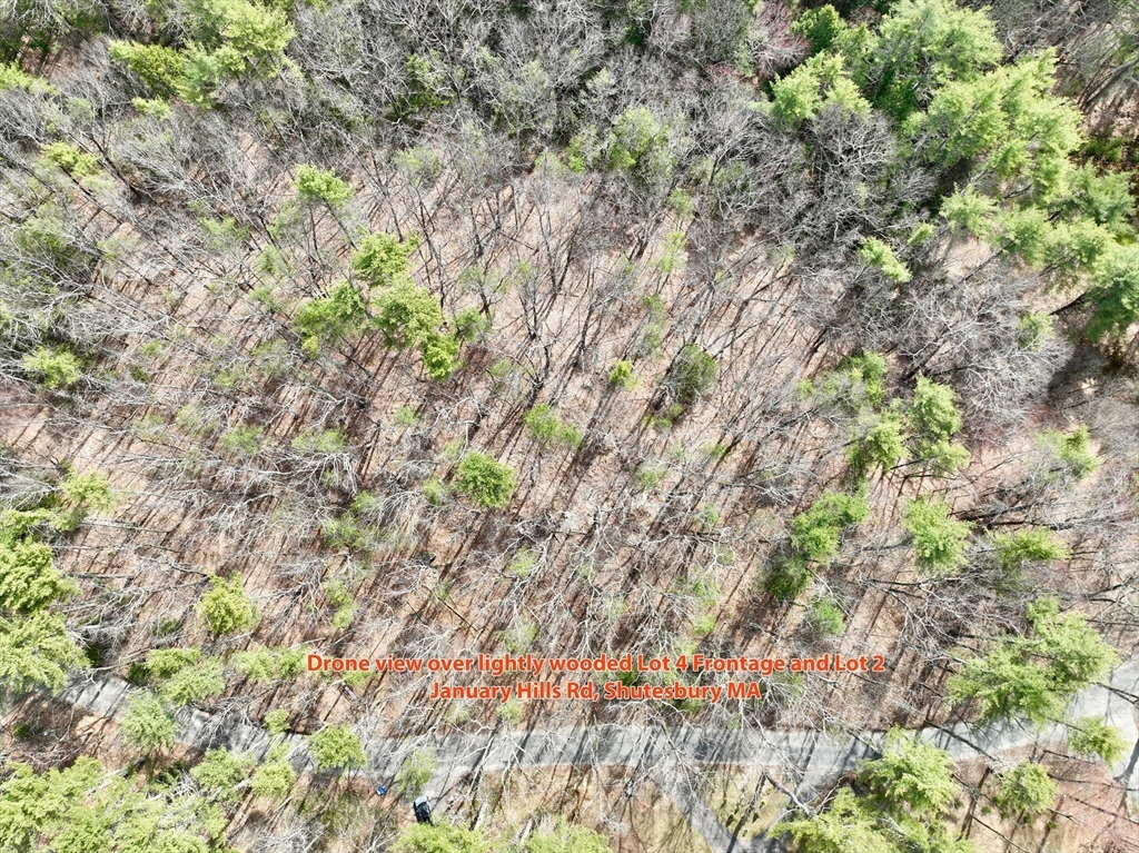 Lot 2 January Hills Road Amherst, MA 01002 - Photo 6 of 7 a backyard of a house