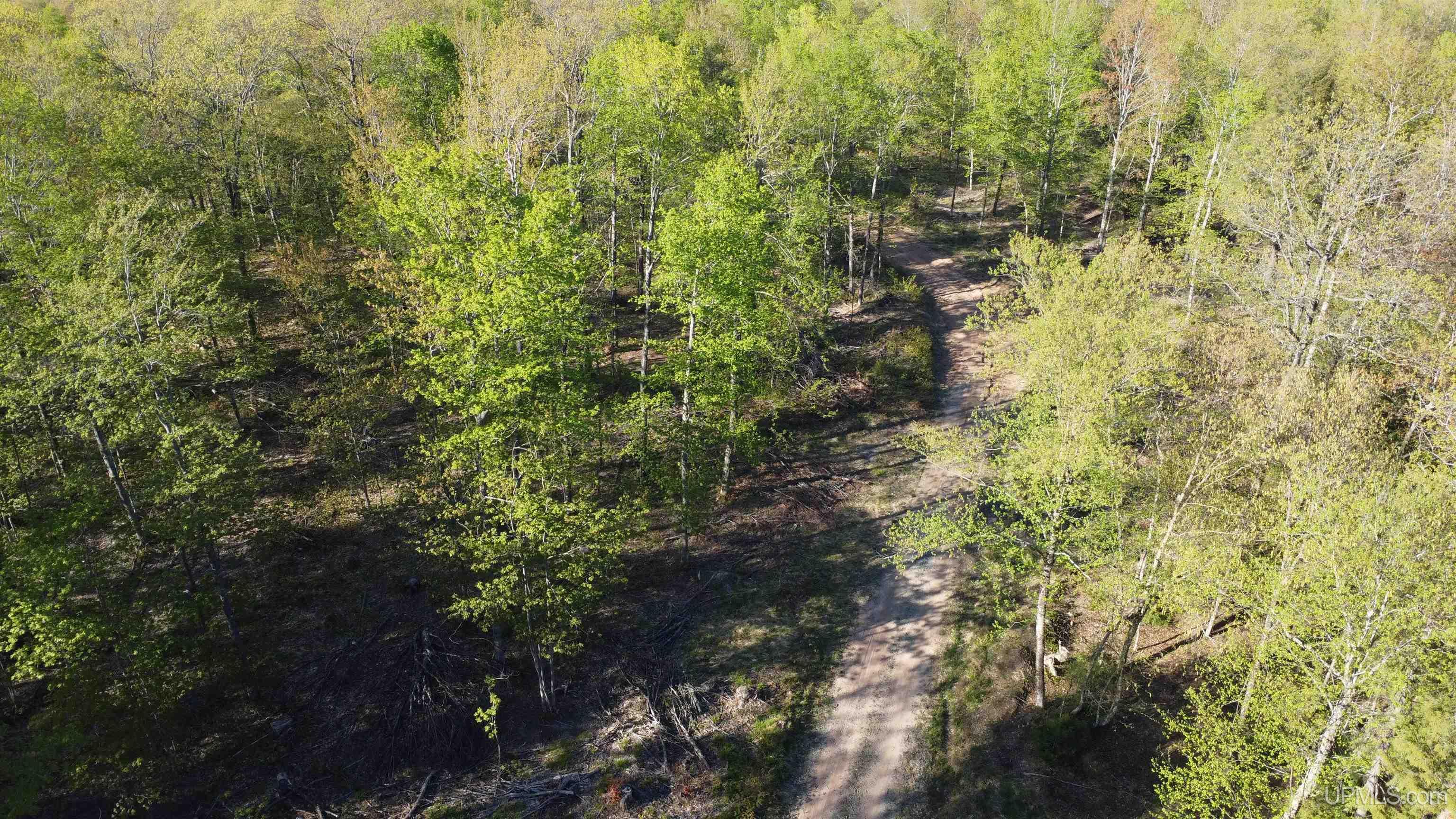 Off Off Hoist Road Negaunee, MI 49866 - Photo 27 of 45
