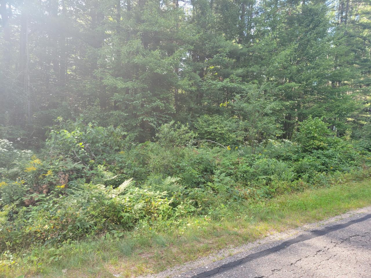 On Loon Lake Road, Unit LOT 8 Eagle River, WI 54521 - Photo 6 of 11 Gallery Image 6