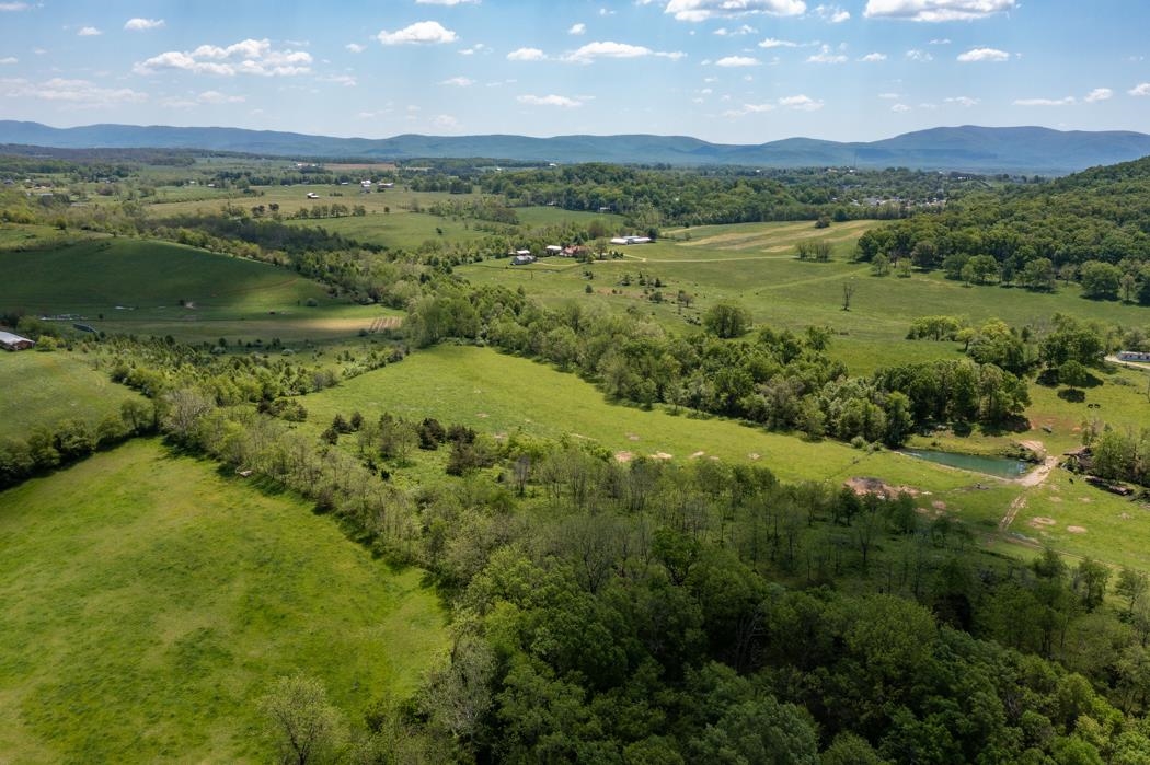 15-acres Tinkling Spring Road Staunton, VA 24401 - Photo 11 of 14 a view of a lush green forest with lots of trees