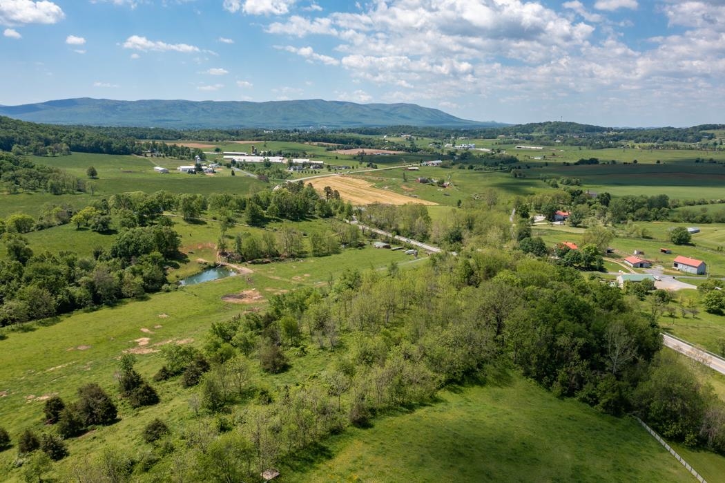 15-acres Tinkling Spring Road Staunton, VA 24401 - Photo 12 of 14 a view of a lush green forest with a houses