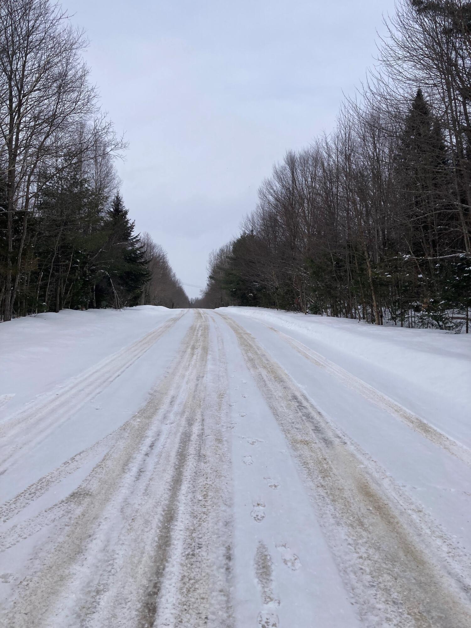 0 Walkerville Road North Bangor, NY 12966 - Photo 3 of 5 Land