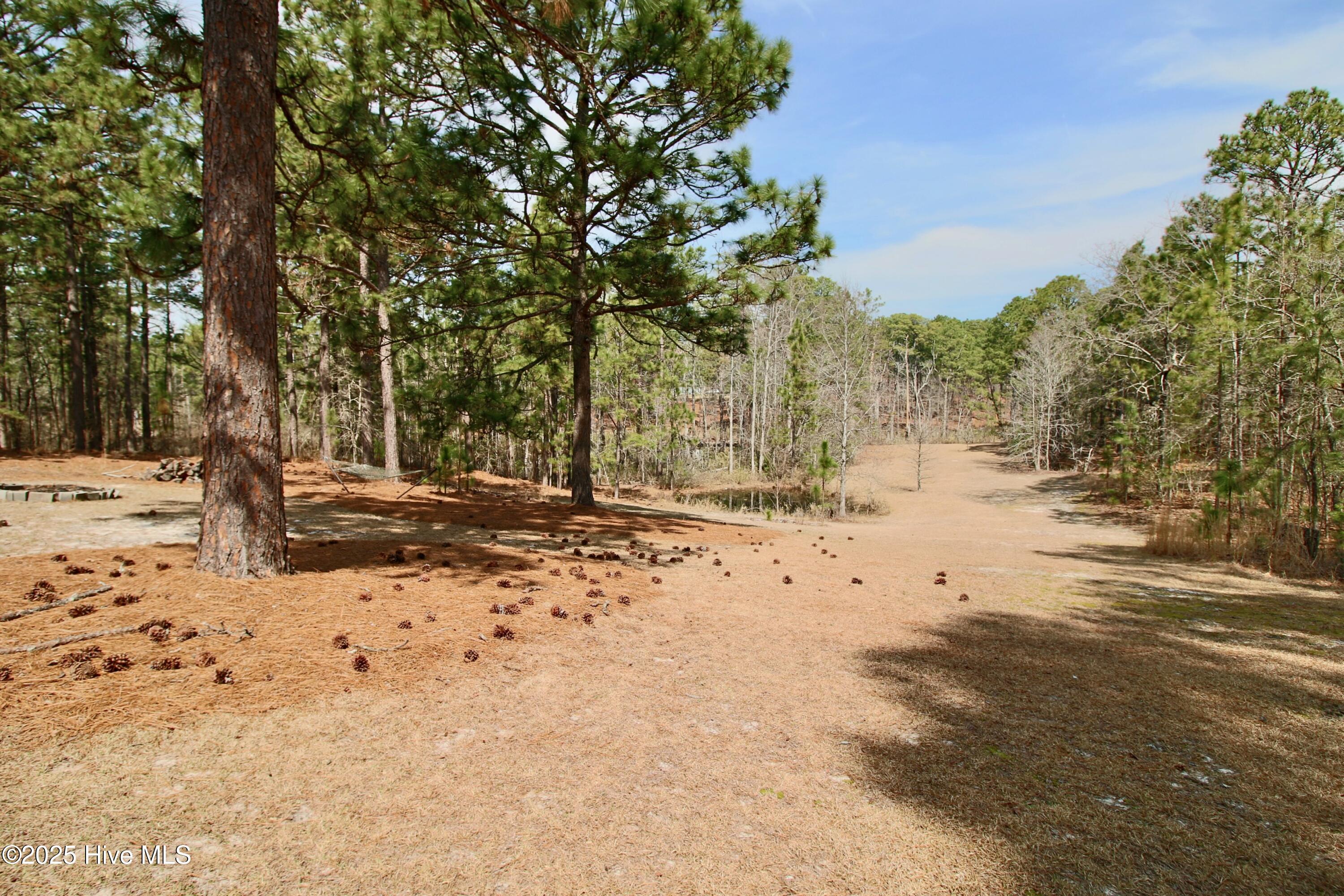 241 Audubon Road Pinebluff, NC 28373 - Photo 45 of 45 IMG_9708