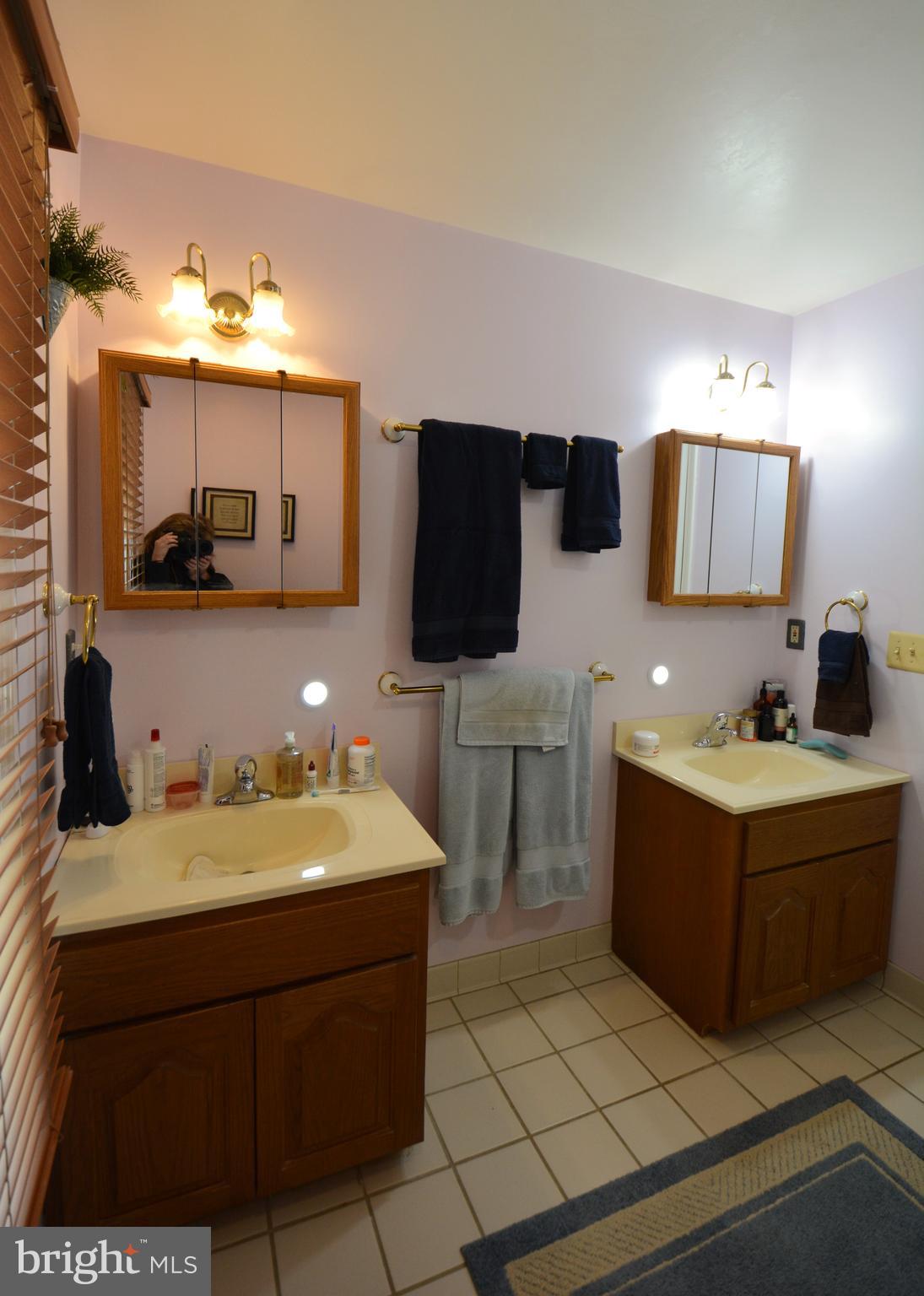 1800 Miners Ridge Road Sykesville, MD 21784 - Photo 43 of 76 Puck night lights under mirror cabinets.
