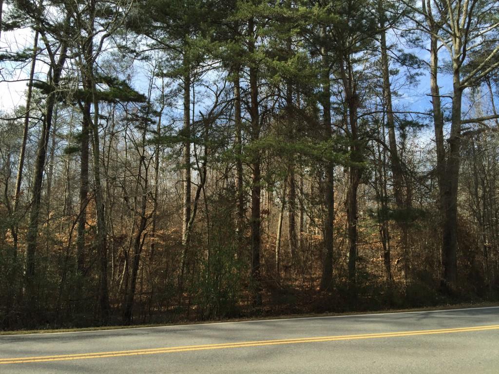 15160 South Thompson Road Alpharetta, GA 30004 - Photo 1 of 1