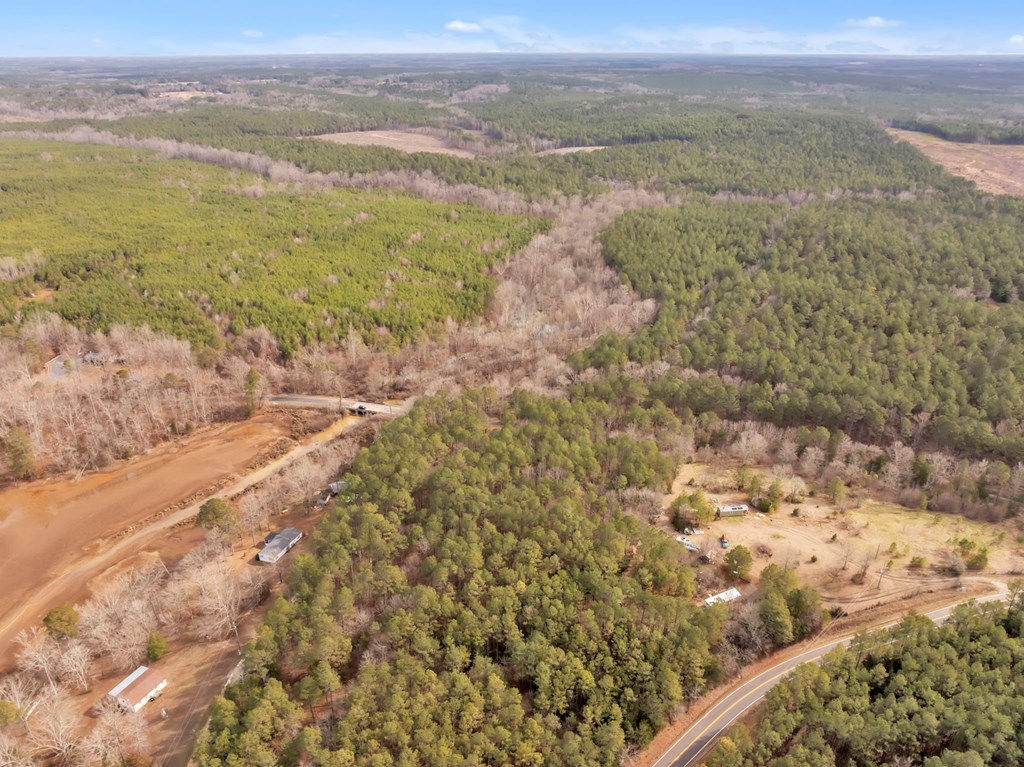 0 Bethabara Church Road Cross Hill, SC 29332 - Photo 12 of 18