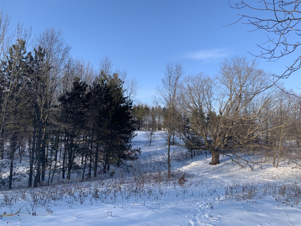 19 19 Mile Road Leroy, MI 49655 - Photo 10 of 30 Gallery Image 10