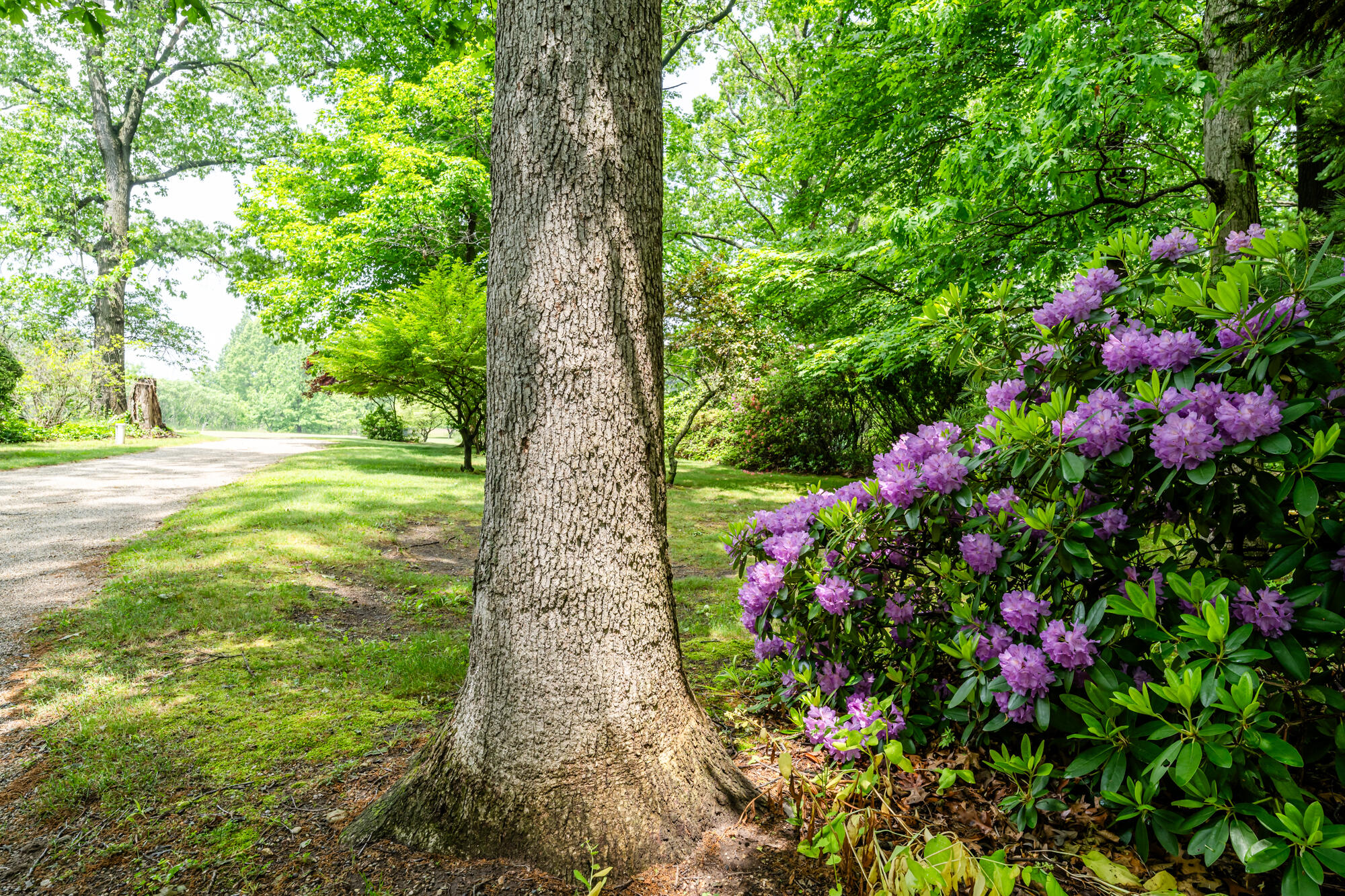 2900 Boyer Road Coloma, MI 49038 - Photo 3 of 95 Boyer-103