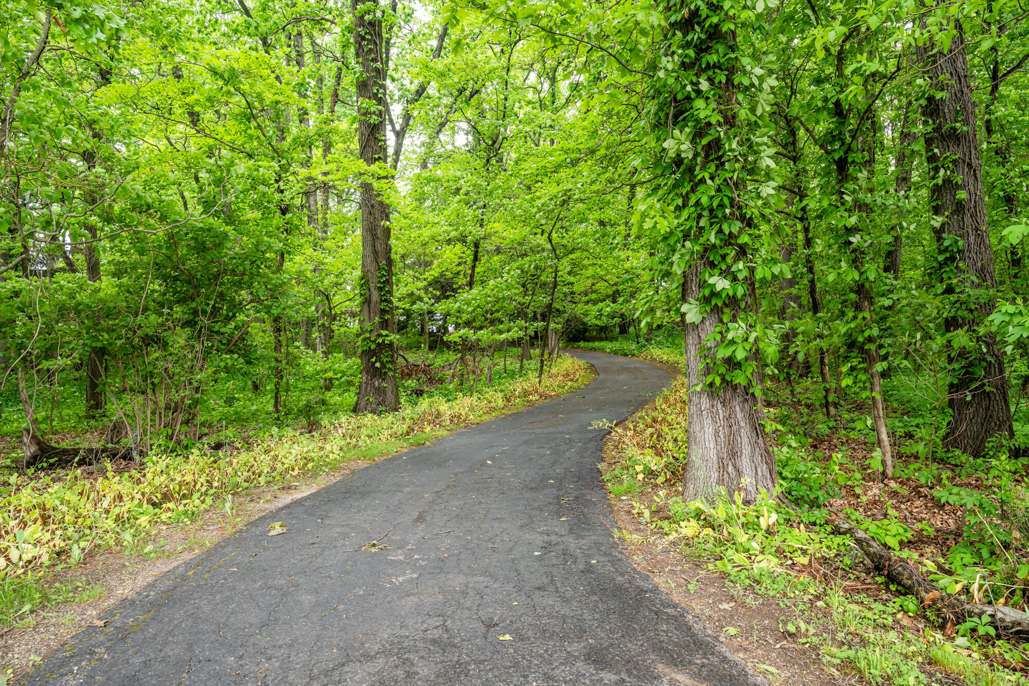 2900 Boyer Road Coloma, MI 49038 - Photo 5 of 95 Boyer-102