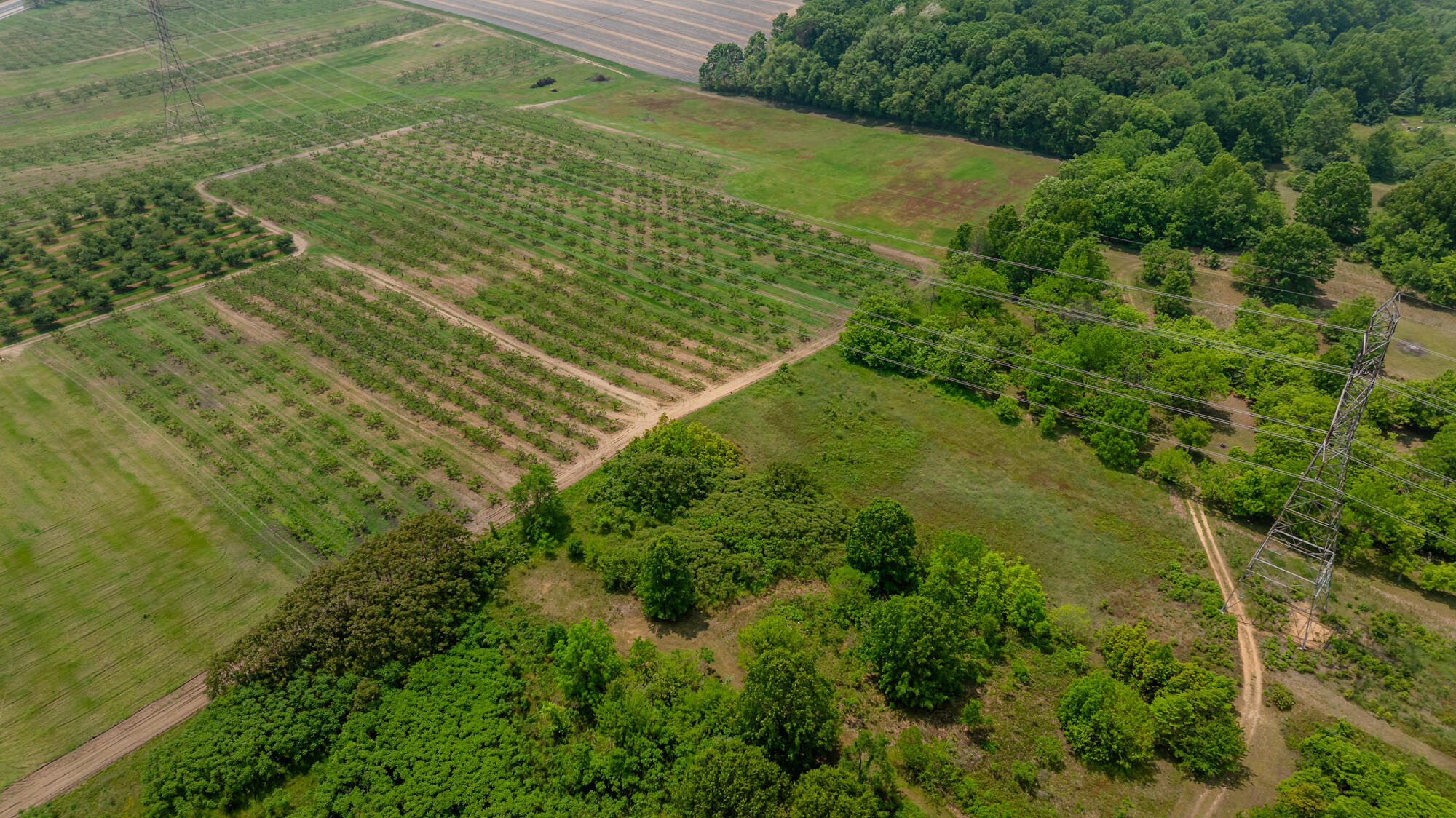 2900 Boyer Road Coloma, MI 49038 - Photo 80 of 95 Boyer-189